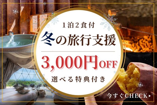 冬の旅行支援